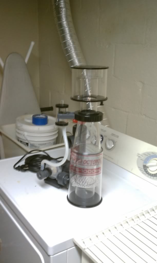 IMAG0078.jpg