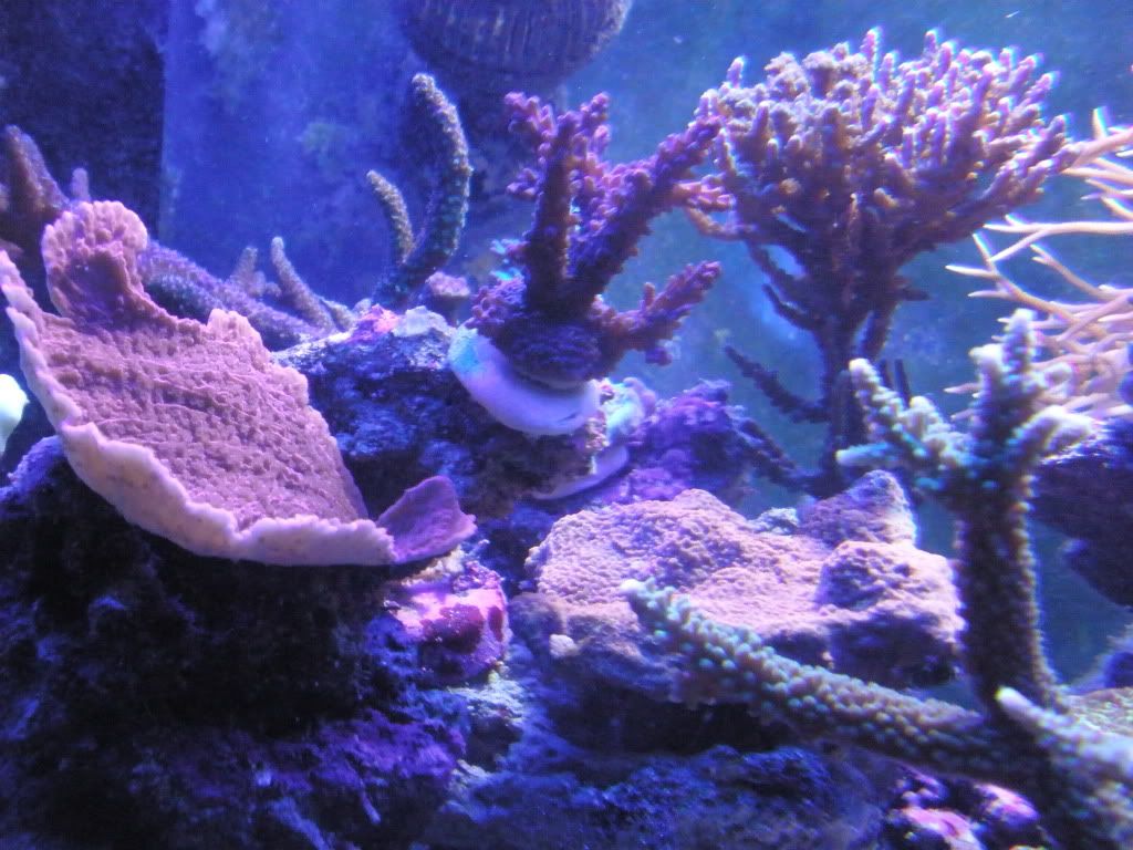 P9150029.jpg