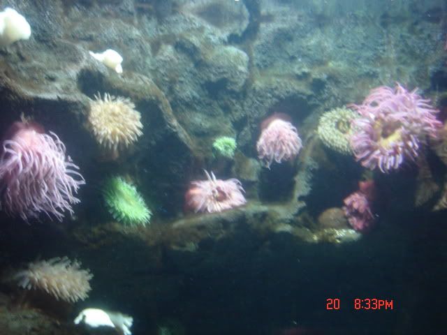 DSC01374.jpg