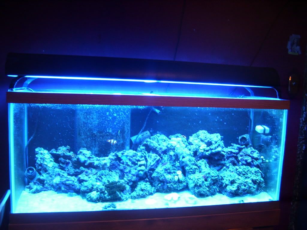 100_2136.jpg