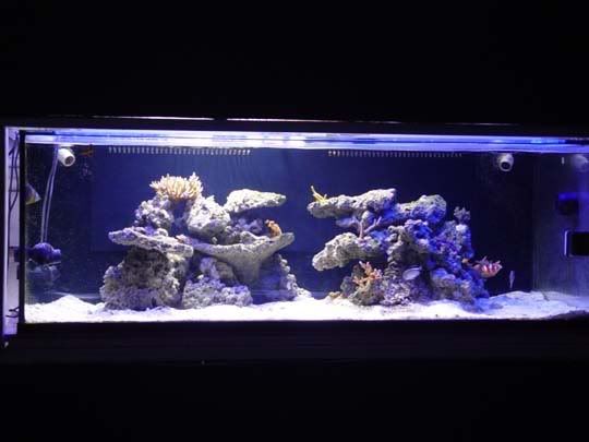 FTS.jpg