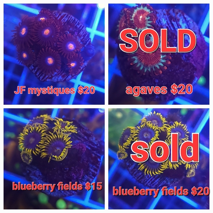 ee18aa9229732f5ad5e9b912ee369d66.jpg