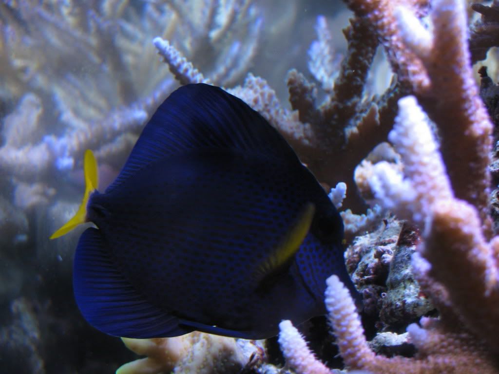 IMG_1061.jpg
