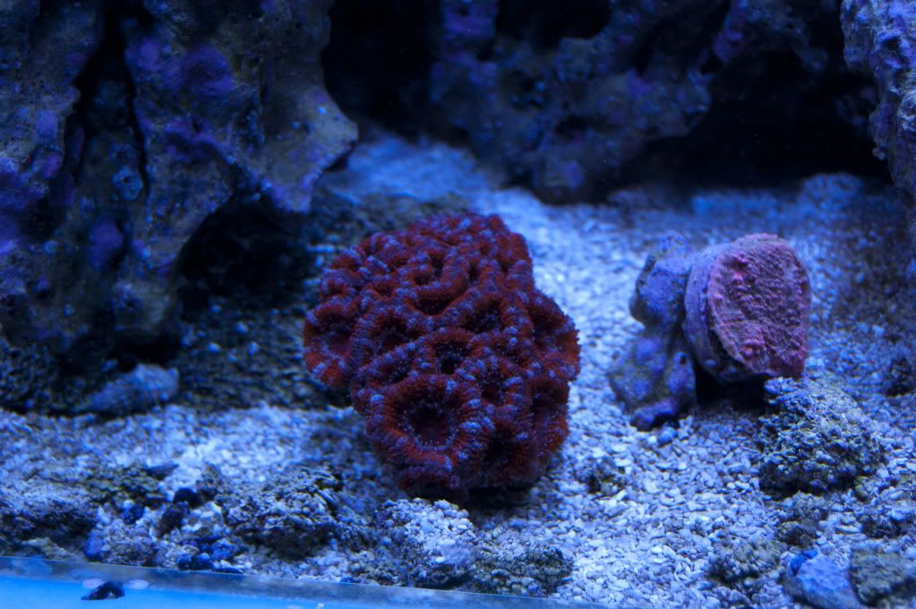 DSC_0070.jpg