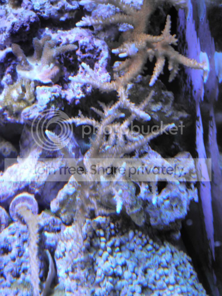 picdec31-jan25172.jpg