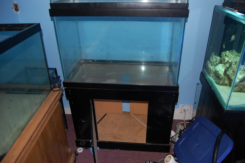 DSC_1995.jpg