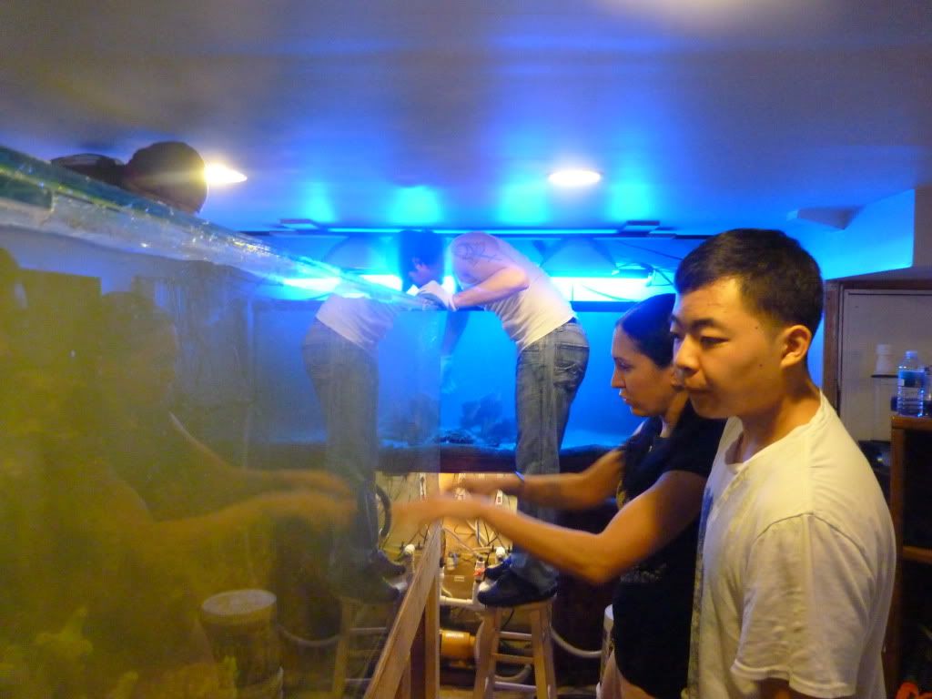 P1060482.jpg