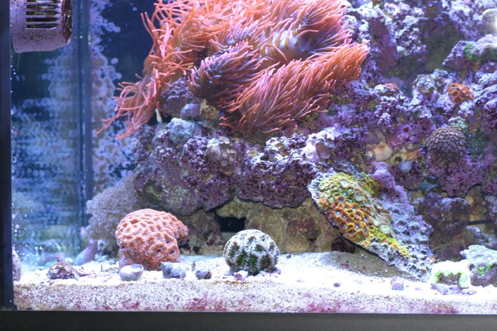 IMG_1759.jpg