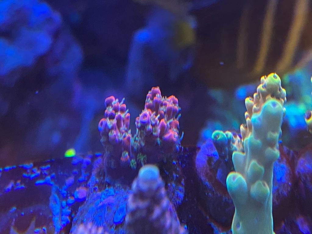 ba077e97b6e62ed740bbdf137db2506c.jpg