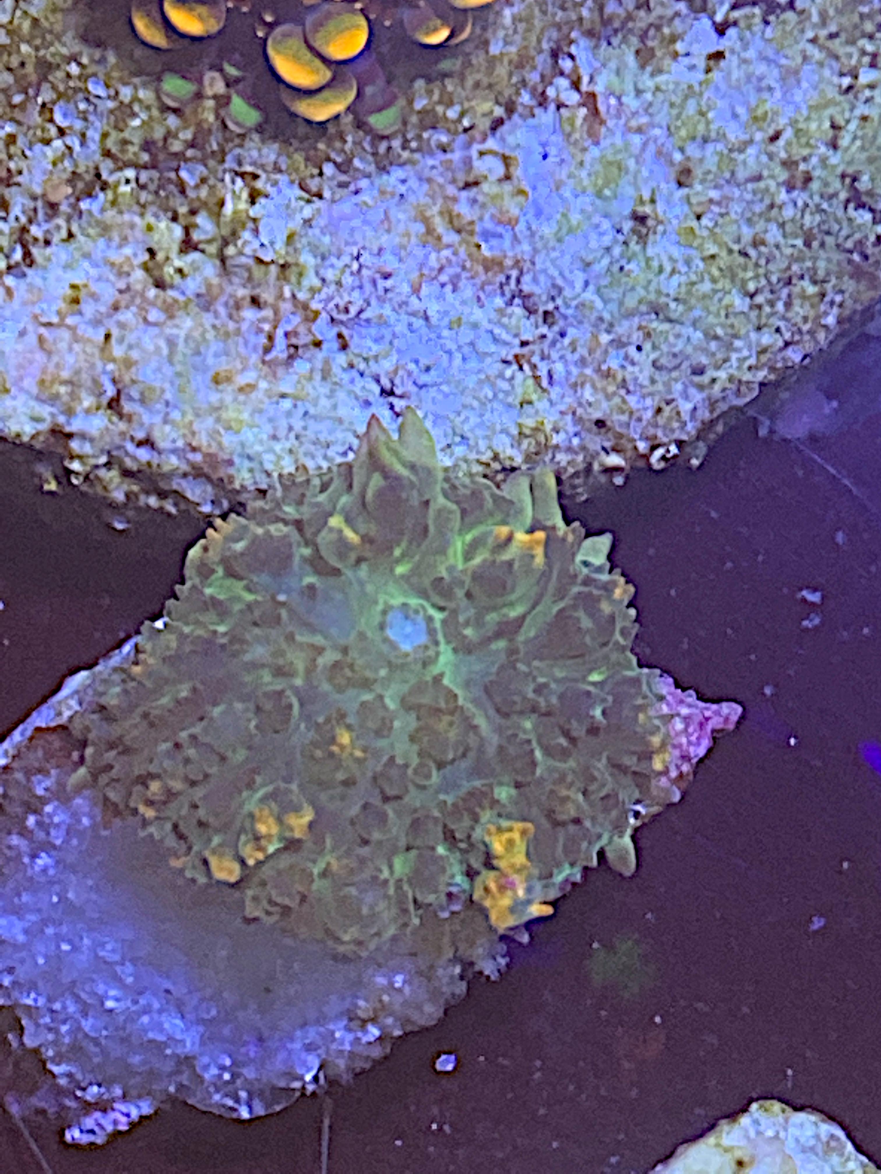 3e03598ee1a322266624c10d299bb2fc.plist