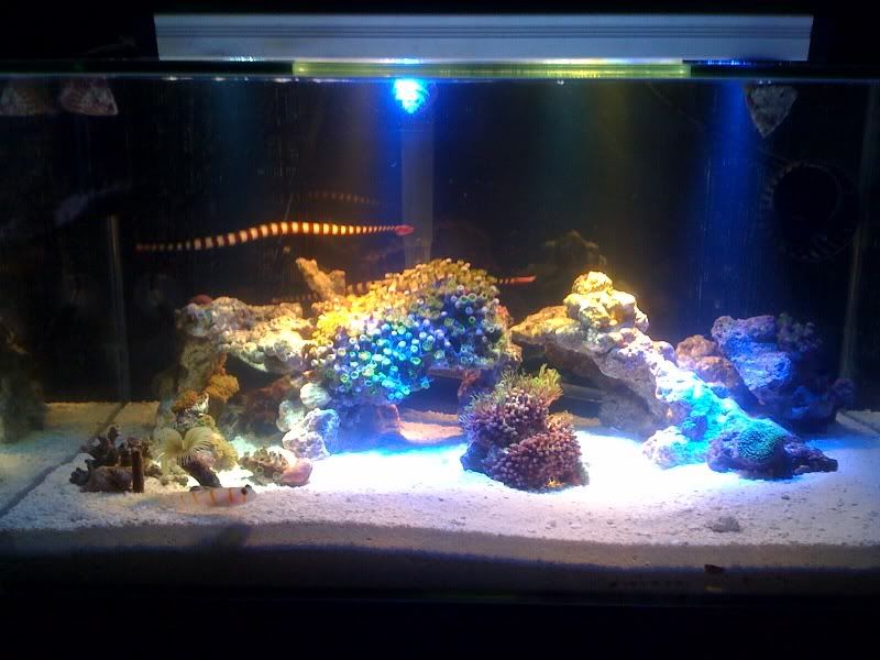 nano3.jpg