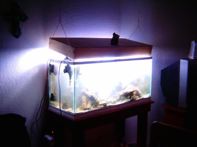 IMAG0042min.jpg