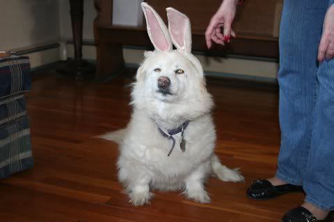 SableEaster11003.jpg