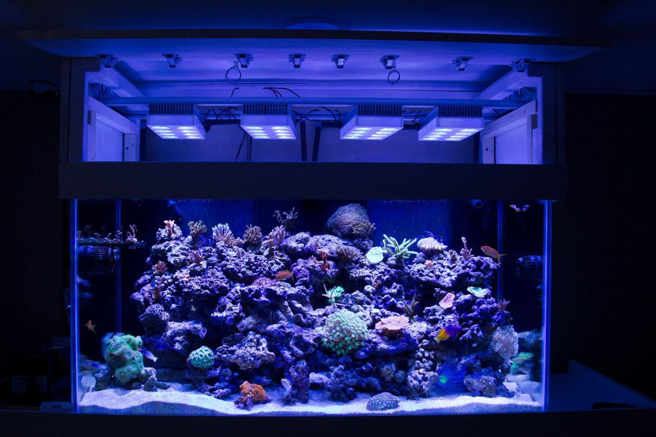 7-14-2012-1.jpg