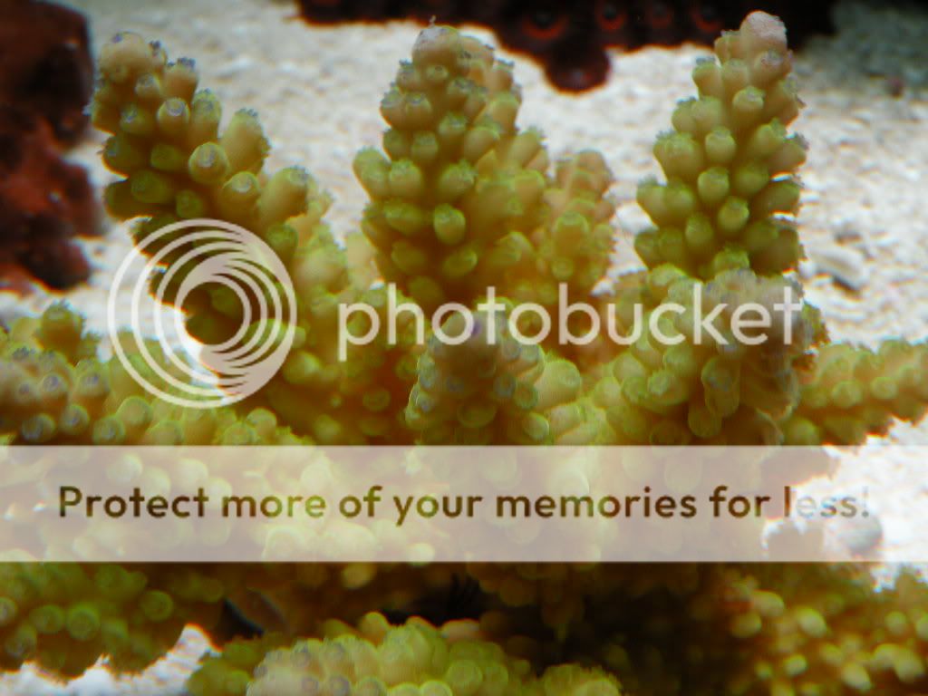 DSCN4767.jpg