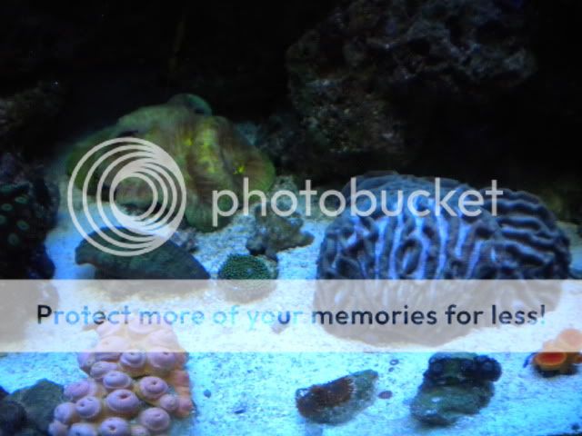 DSCN1432.jpg
