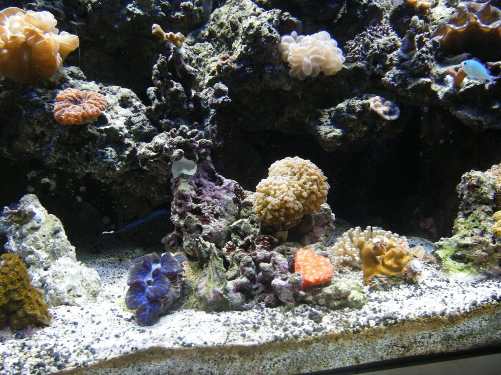 DSCF0294.jpg