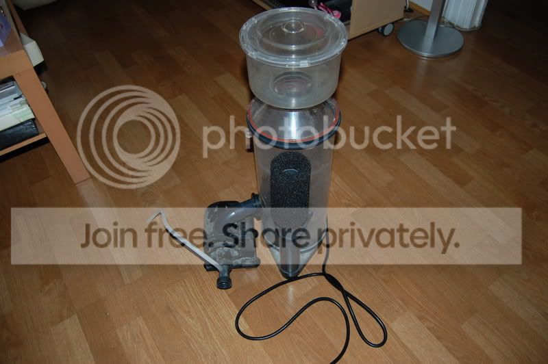 DSC_3668.jpg