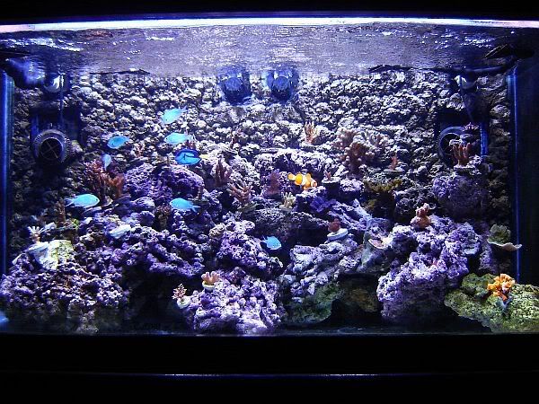 fts.jpg