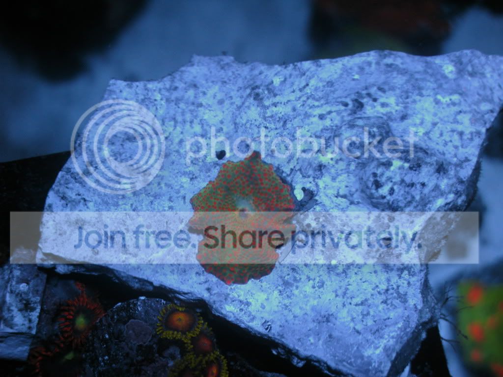 IMG_1593.jpg