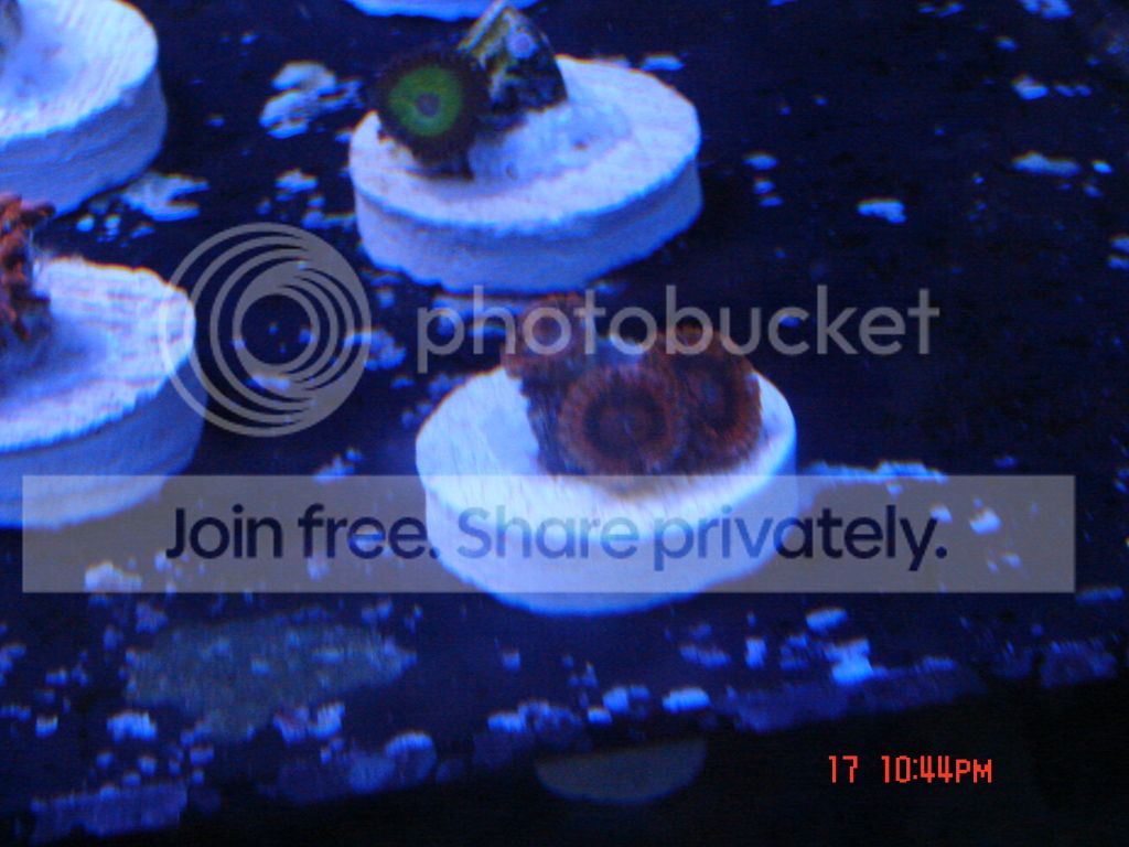 DSC02526.jpg