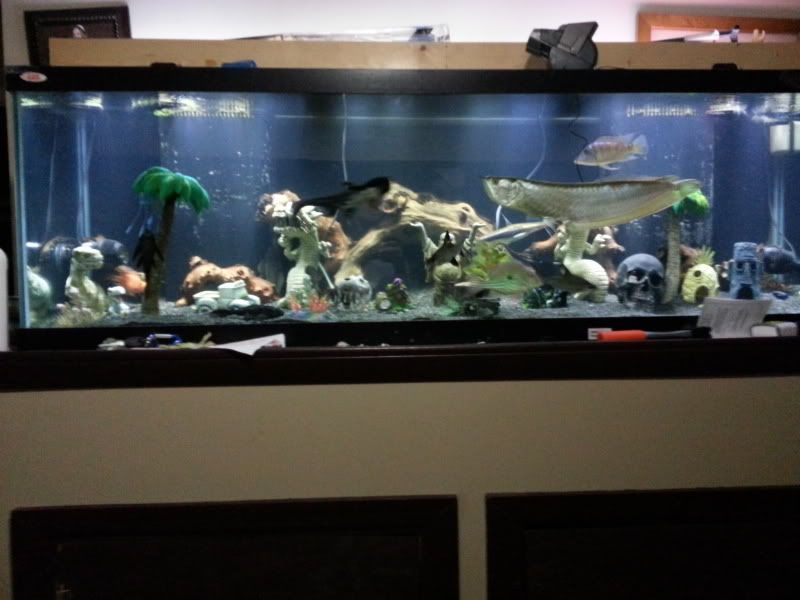 20121212_233453.jpg