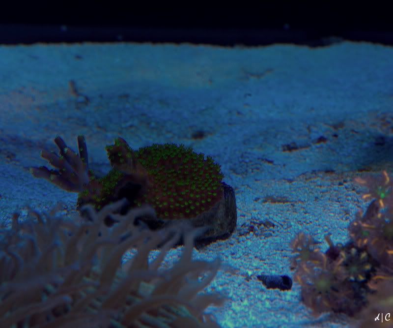DSC_1579.jpg