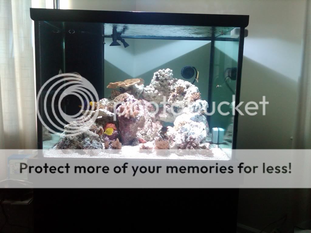 IMG00062-20100301-1501.jpg