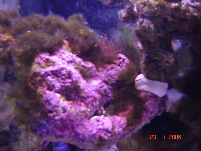 Picture032.jpg