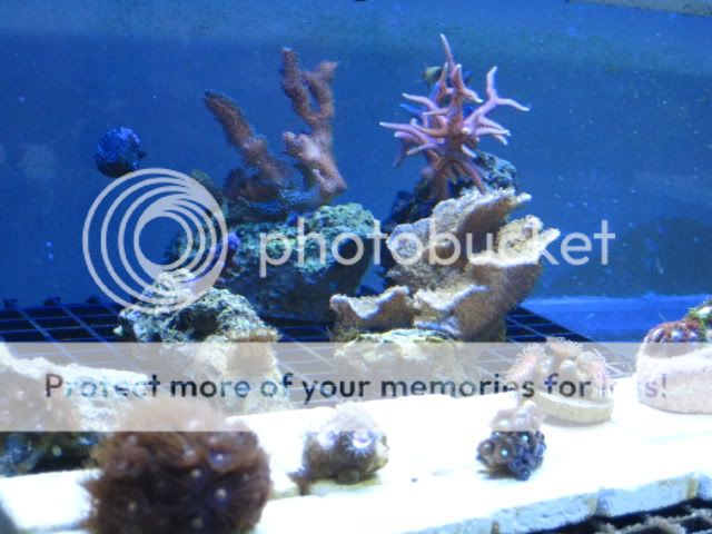 IMG_0547.jpg