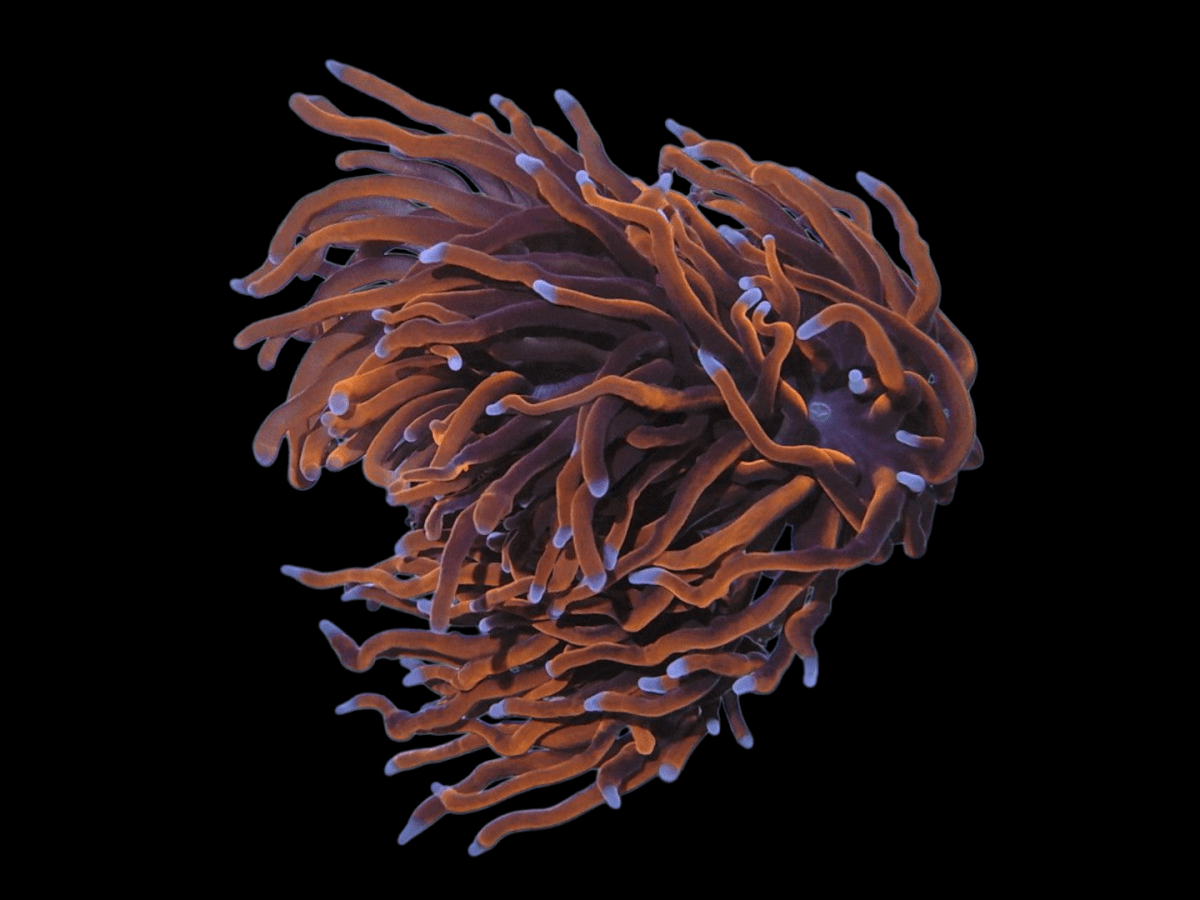 DSCN2326 (1).png