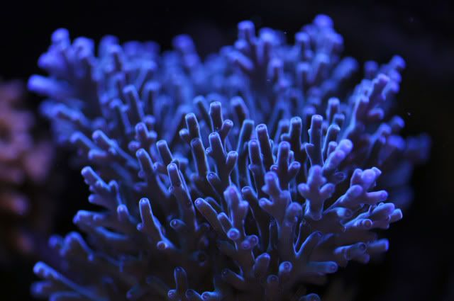 DSC_0599_edited.jpg