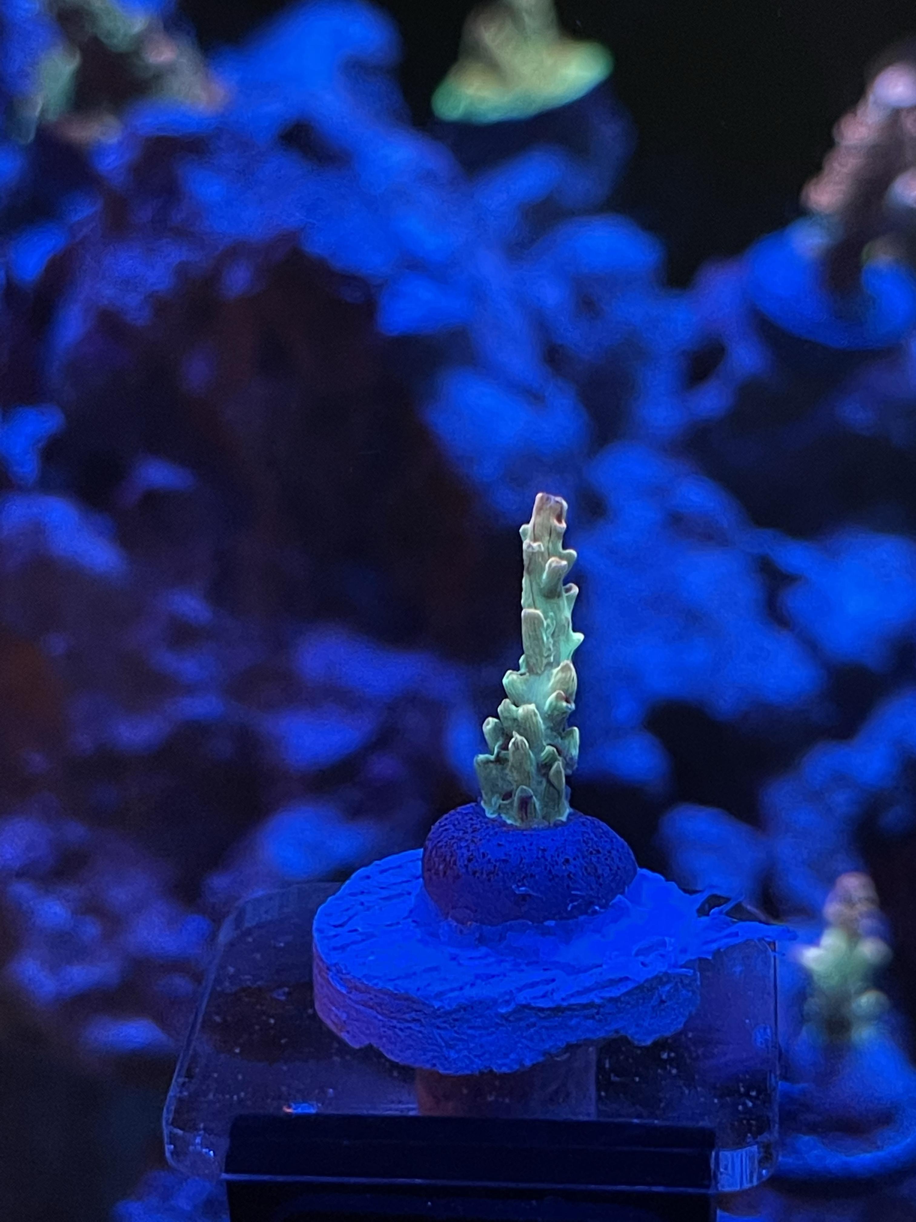 e5928126cf8b8a6c095df3aa63188f79.jpg