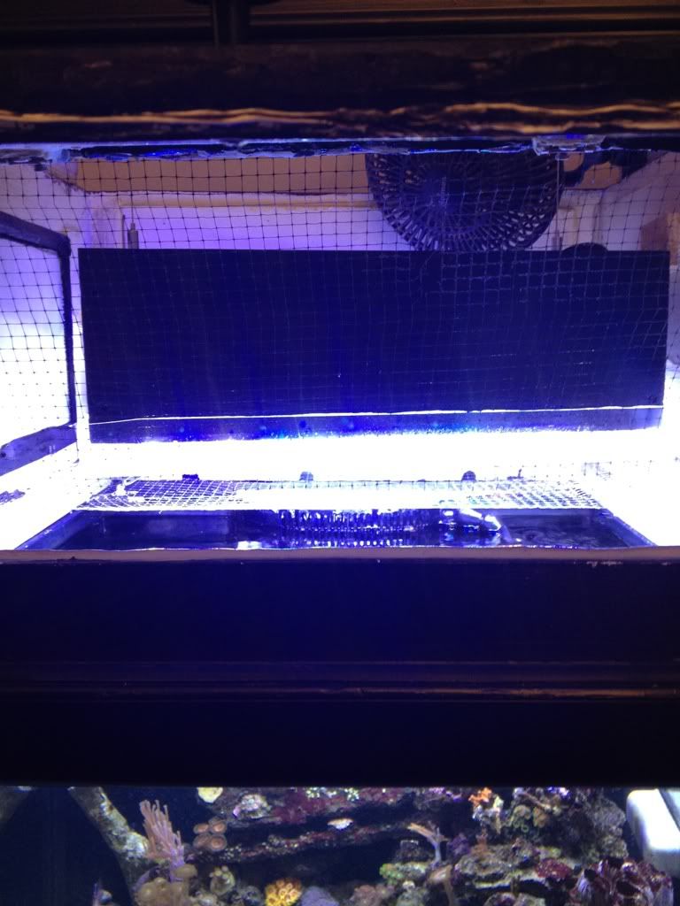 5cae20f8.jpg