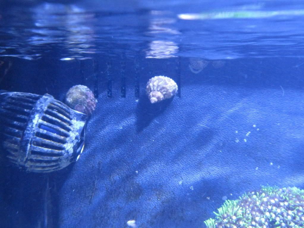 IMG_0177.jpg