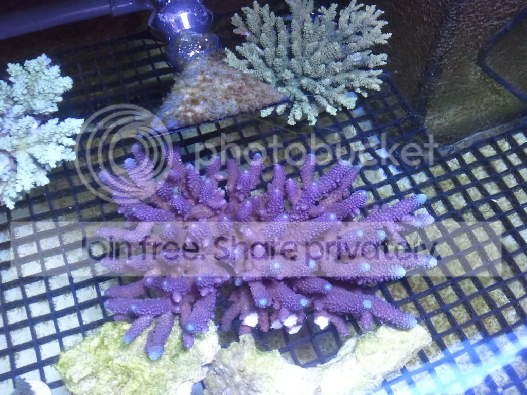 2011-01-23153137.jpg