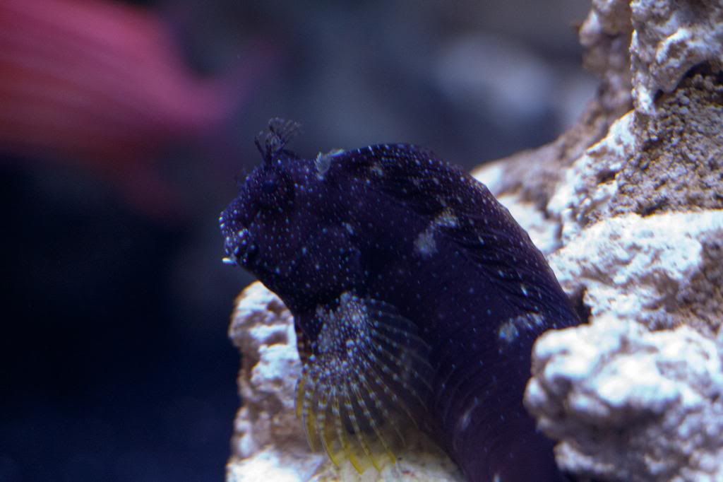 Aquarium-5.jpg