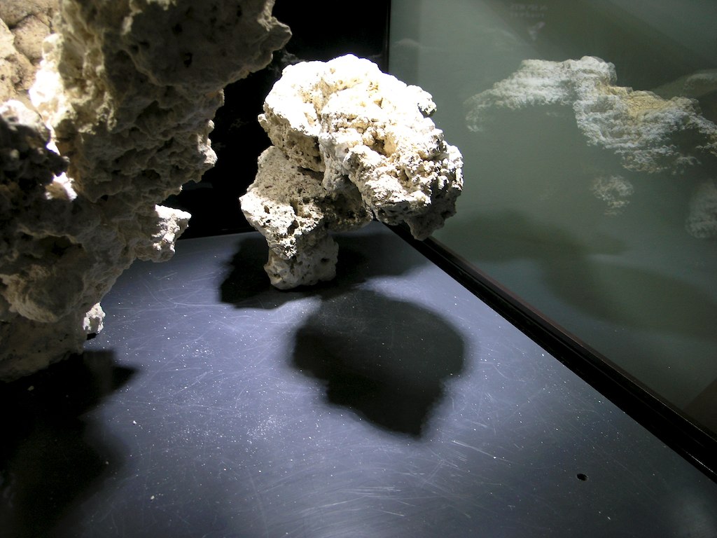 7137131087_b9ab8e701f_b.jpg