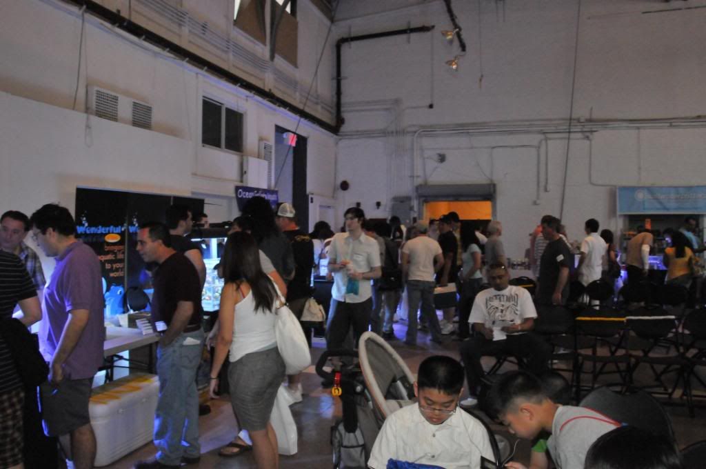 swap073.jpg