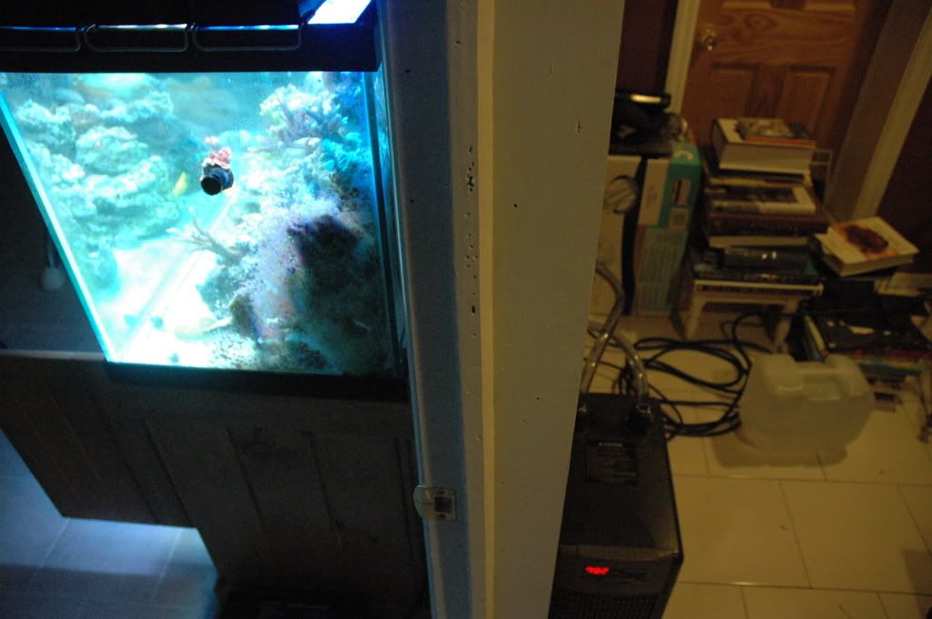 fishes015.jpg