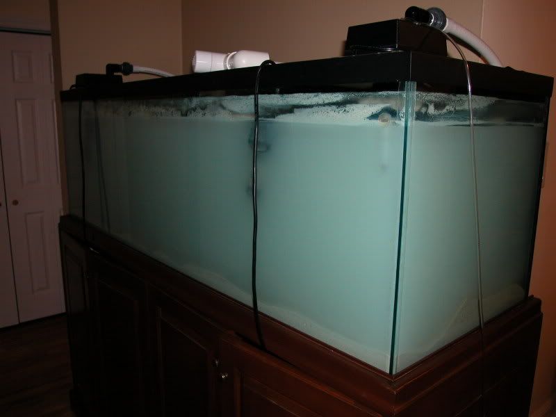DSCN2557.jpg