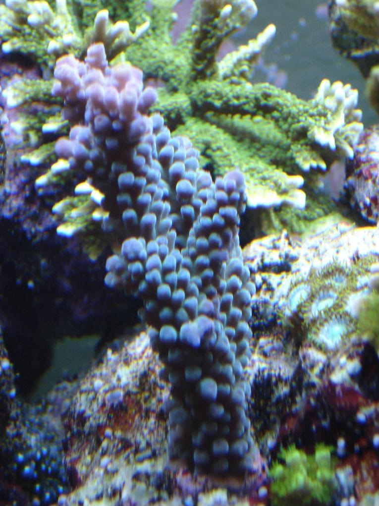 DSC03302.jpg