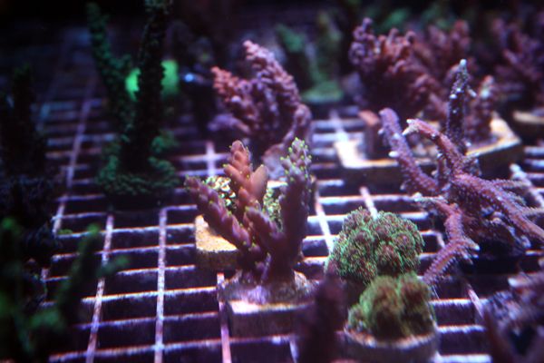 IMG_6798.jpg