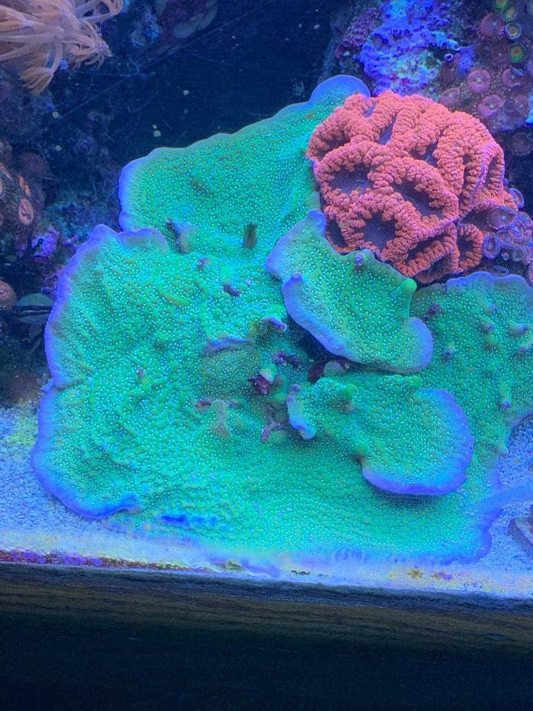 3d50151ca4623a0057f74e40b6e8d66c.jpg