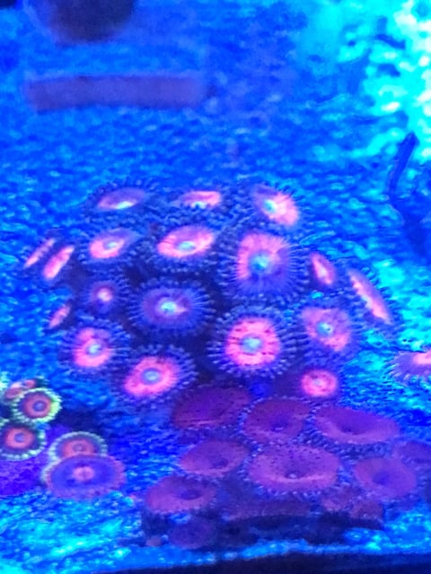 e4cb5e0fec420a716b70cd7ac18cae72.jpg