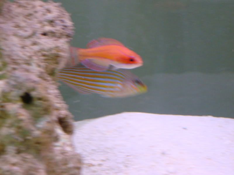 DSC00157.jpg