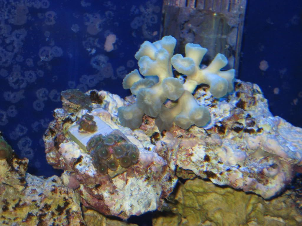 IMG_7512.jpg