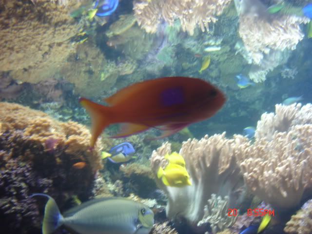 DSC01420.jpg