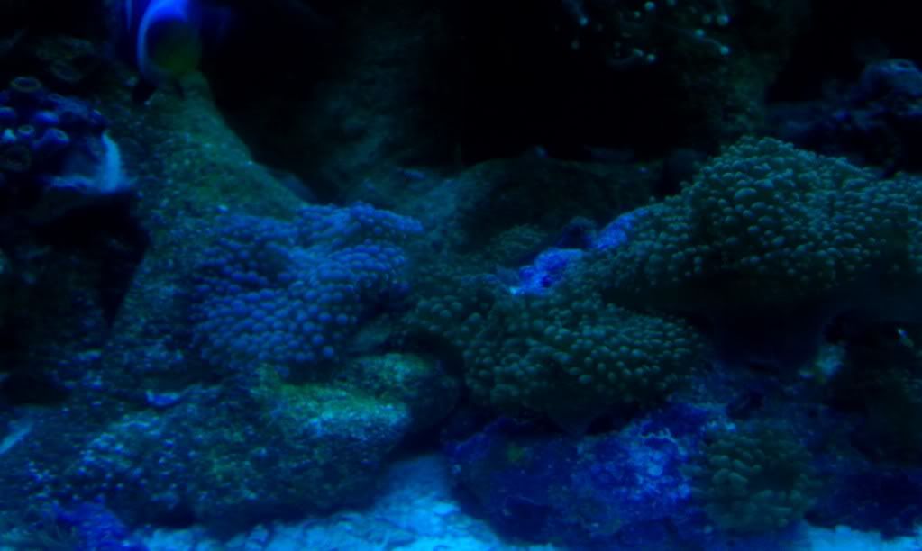 IMAG0095.jpg