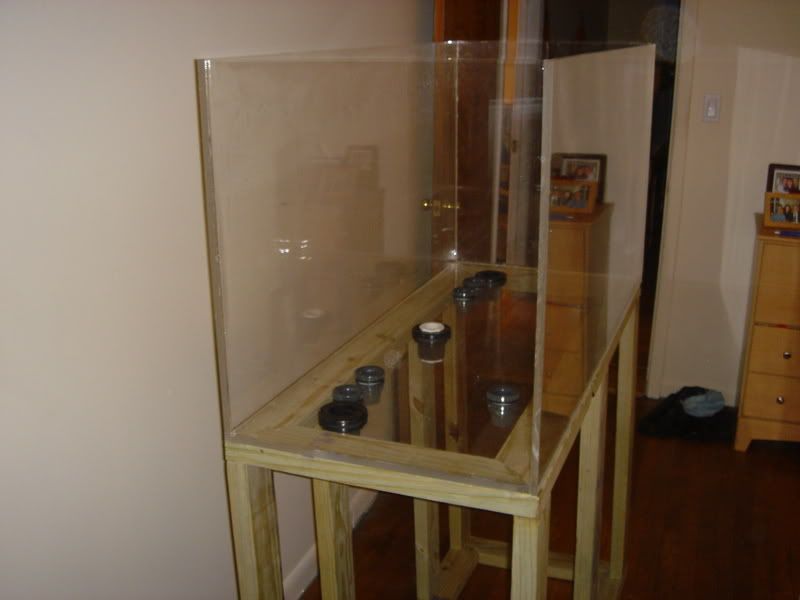 DSC03897.jpg
